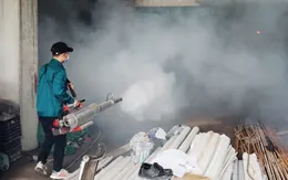 Chủ động đánh giá nguy cơ dịch bệnh để có biện pháp phòng, chống dịch từ sớm, từ xa