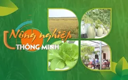 Xuân mới bàn chuyện "Nông nghiệp 4.0"