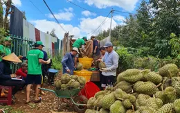 Xuất khẩu tăng từ đầu năm mới