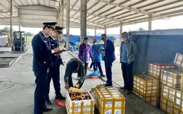 Hơn 56 tấn hải sản được xuất khẩu sang Trung Quốc