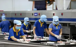 Sôi nổi khí thế sản xuất đầu năm