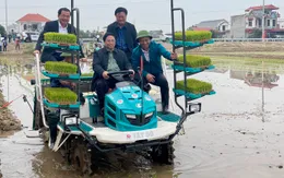 Thủ tướng xuống đồng cấy hái cùng nông dân, động viên sản xuất nông nghiệp