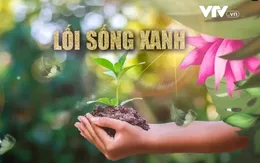 Tết trồng cây lan tỏa lối sống xanh