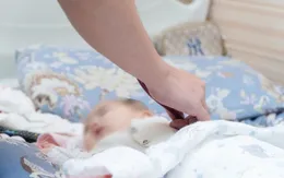 Bé 3 tháng tuổi nhiễm khuẩn huyết nguy kịch
