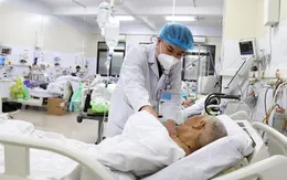 Ngừng tuần hoàn nguy kịch do ngộ độc lá ngón