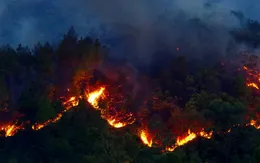 Vụ cháy rừng tại Sa Pa đã cơ bản được không chế