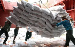 Đơn hàng xuất khẩu lạc quan ngay từ đầu năm