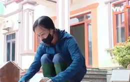 Thoát nghèo bền vững nhờ mô hình hội nhóm nhận kèm cặp hộ nghèo