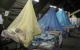 Peru ban bố tình trạng khẩn cấp vì sốt xuất huyết