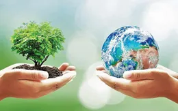 Đông Tăng Long: Nâng tầm chất lượng sống và môi trường xanh