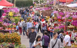 Nhộn nhịp không khí mua sắm Tết tại Hong Kong (Trung Quốc)