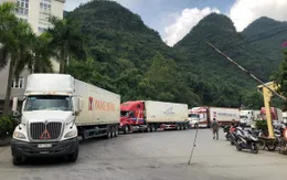 Sôi động hoạt động xuất nhập khẩu dịp Tết