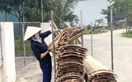 Làng nghề bánh đa nem tất bật vào vụ Tết