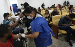 Dịch sốt xuất huyết bùng phát tại Brazil