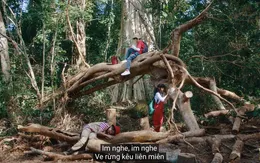 Đen tung teaser ca khúc mới, viết về thiên nhiên và môi trường