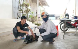 Bộ Y tế đề nghị các địa phương tăng cường công tác phòng, chống bệnh dại