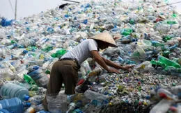 Phân loại và tái chế rác để giảm thiểu tác động tiêu cực với môi trường