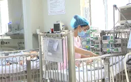 Cả nước đã ghi nhận gần 70 ca bệnh ho gà, Bộ Y tế khuyến cáo phòng bệnh
