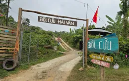 Xử lý nghiêm điểm du lịch trái phép trên rừng Hải Vân