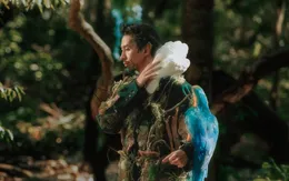 Đen hóa cây cổ thụ trong MV về bảo vệ môi trường