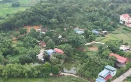 Luật Đất đai tác động hơn 1 triệu chủ rừng