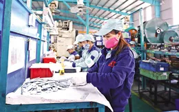 Việt Nam sẽ có mức tăng trưởng tài sản đột biến nhất trong thập kỷ tới