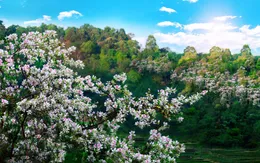 Những hoạt động đặc sắc tại Năm Du lịch Quốc gia - Điện Biên 2024