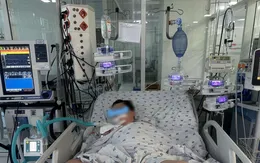 Cứu sống bé trai sốc sốt xuất huyết, tổn thương gan nặng, suy hô hấp nặng