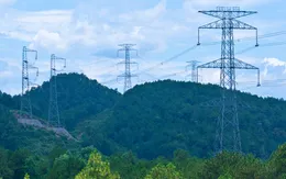 Tạm sử dụng rừng phục vụ thi công dự án lưới điện vì lợi ích quốc gia, công cộng