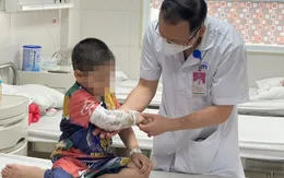 Bé 3 tuổi vỡ thận do 2 con chó becgie nhà hàng xóm tấn công