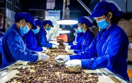 Thủ tướng chỉ đạo tháo gỡ khó khăn cho hoạt động xuất khẩu dược liệu