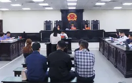 Vụ đấu giá đất Cổ Dương: Hoãn phiên tòa vì cựu Chủ tịch Vimedimex "kêu oan"