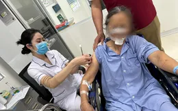 Chó nhà hàng xóm tấn công, cụ bà phải khâu gần 70 mũi