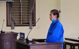 Hoạt động chống phá Nhà nước, Nguyễn Thị Bạch Huệ lĩnh 12 năm tù