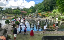 Indonesia khuyến cáo du khách đến đảo Bali cảnh giác với dịch sốt xuất huyết