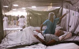 Dịch sốt xuất huyết hoành hành tại châu Mỹ