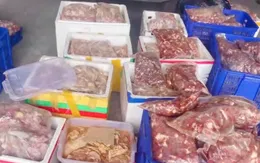 Hà Nội: Phát hiện kho chứa gần 1 tấn thực phẩm đông lạnh có dấu hiệu vi phạm
