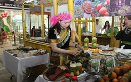 Nâng tầm nông sản Việt qua kênh thương mại điện tử