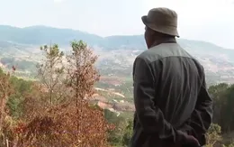 Hàng chục ngàn hecta cây trồng bị cháy nghi có người phá hoại