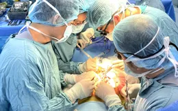Bệnh viện Nhi đồng 2 được công nhận đủ điều kiện ghép tạng từ người hiến sống và người hiến chết não