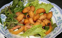Khó thở, mẩn ngứa khắp người sau khi ăn đuông dừa