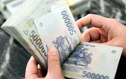 Thủ tướng chỉ đạo xây dựng Nghị định về chế độ tiền lương mới