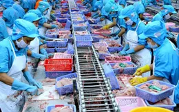 Xuất khẩu: Tận dụng lợi thế thị trường "hàng xóm"