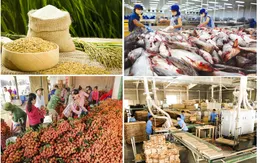 Nông sản Việt khai thác thị trường xuất khẩu mới