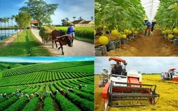 Thúc đẩy "tri thức hóa nông dân"