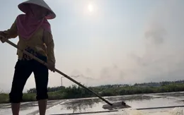 Những người cõng nắng, cõng gió trên cánh đồng muối