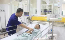 Biết con so có độc nhưng vẫn ăn, người đàn ông ngộ độc nguy kịch