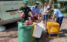 Phát hiện 350kg nội tạng không rõ nguồn gốc