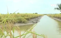 Bảo đảm an ninh nguồn nước cho Đồng bằng sông Cửu Long