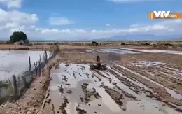 Hỗ trợ đưa nước thủy lợi về chống hạn ở Ninh Thuận